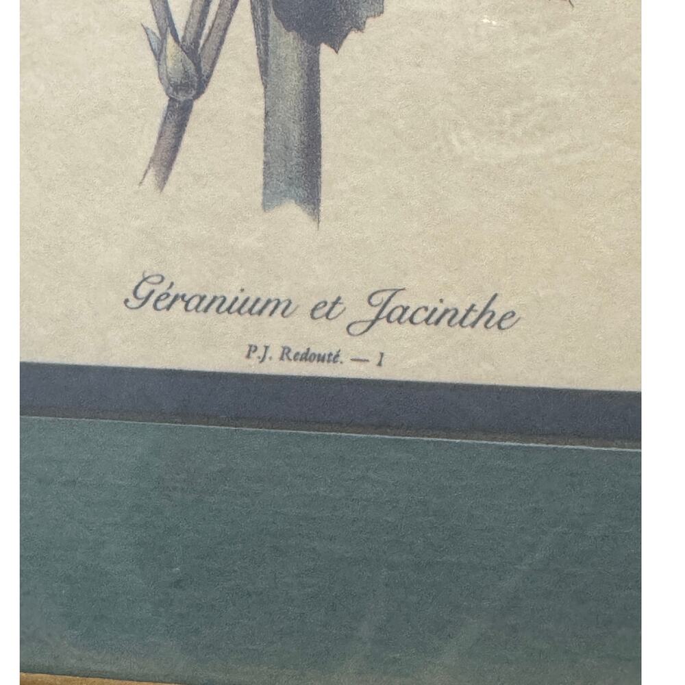 Framed Redouté Geranium Jacinthe Print · In Goldtone Wood Frame Belk Store Tag